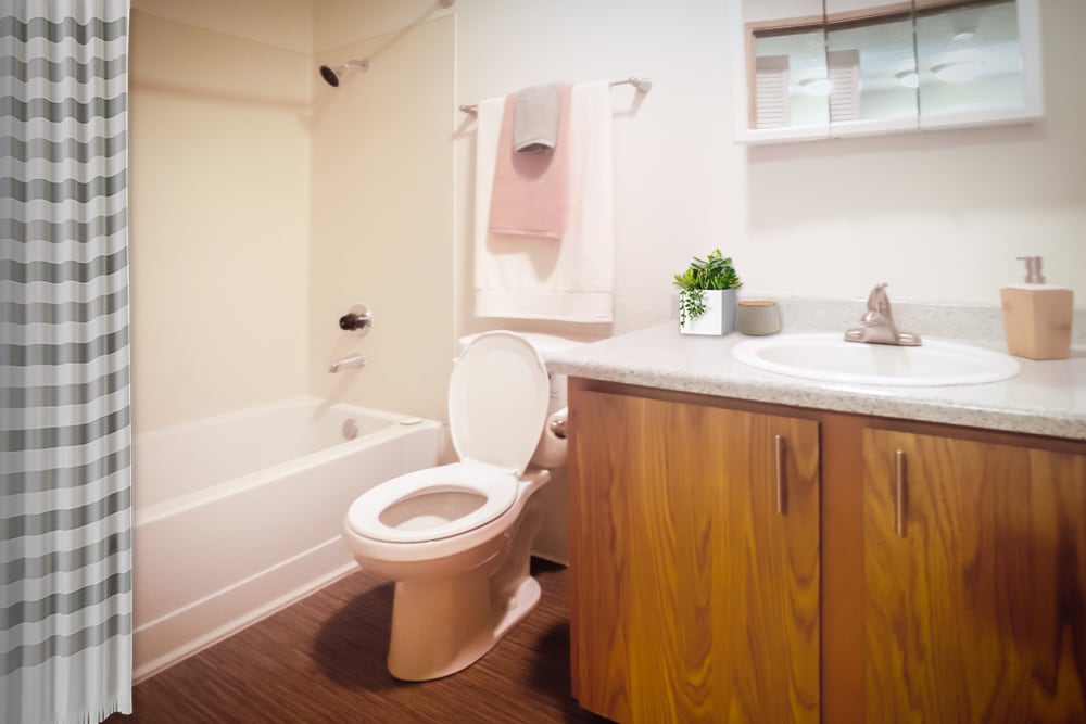Bright bathroom at Terra Apartment Homes in Federal Way, Washington