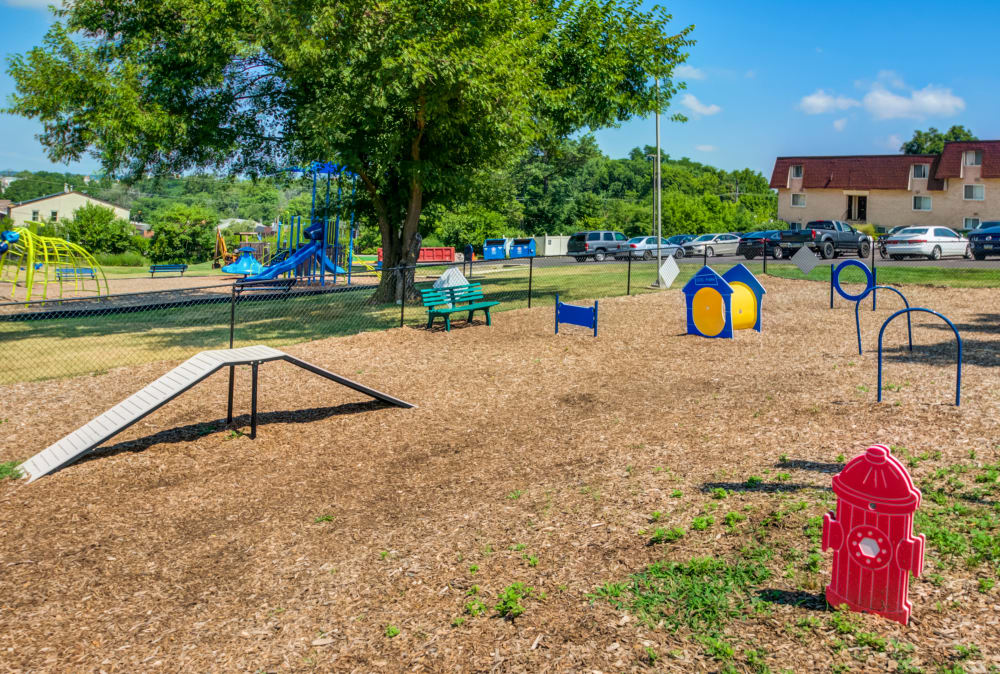 Dog park with obstacle course at Curren Terrace in Norristown, Pennsylvania