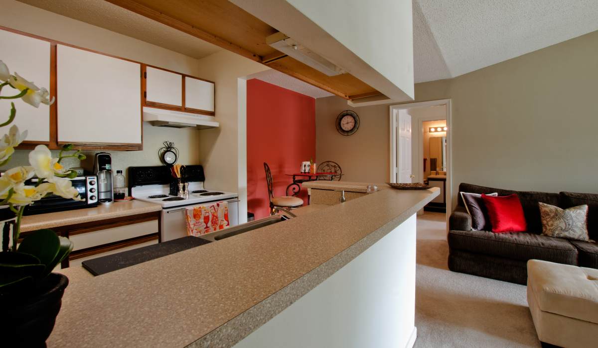 Spacious apartment and kitchen at Rockwood Park, North Chesterfield, Virginia