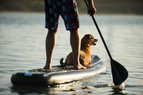 Resident paddleboarding with his dog near Sterling Ranch in El Dorado Hills, California
