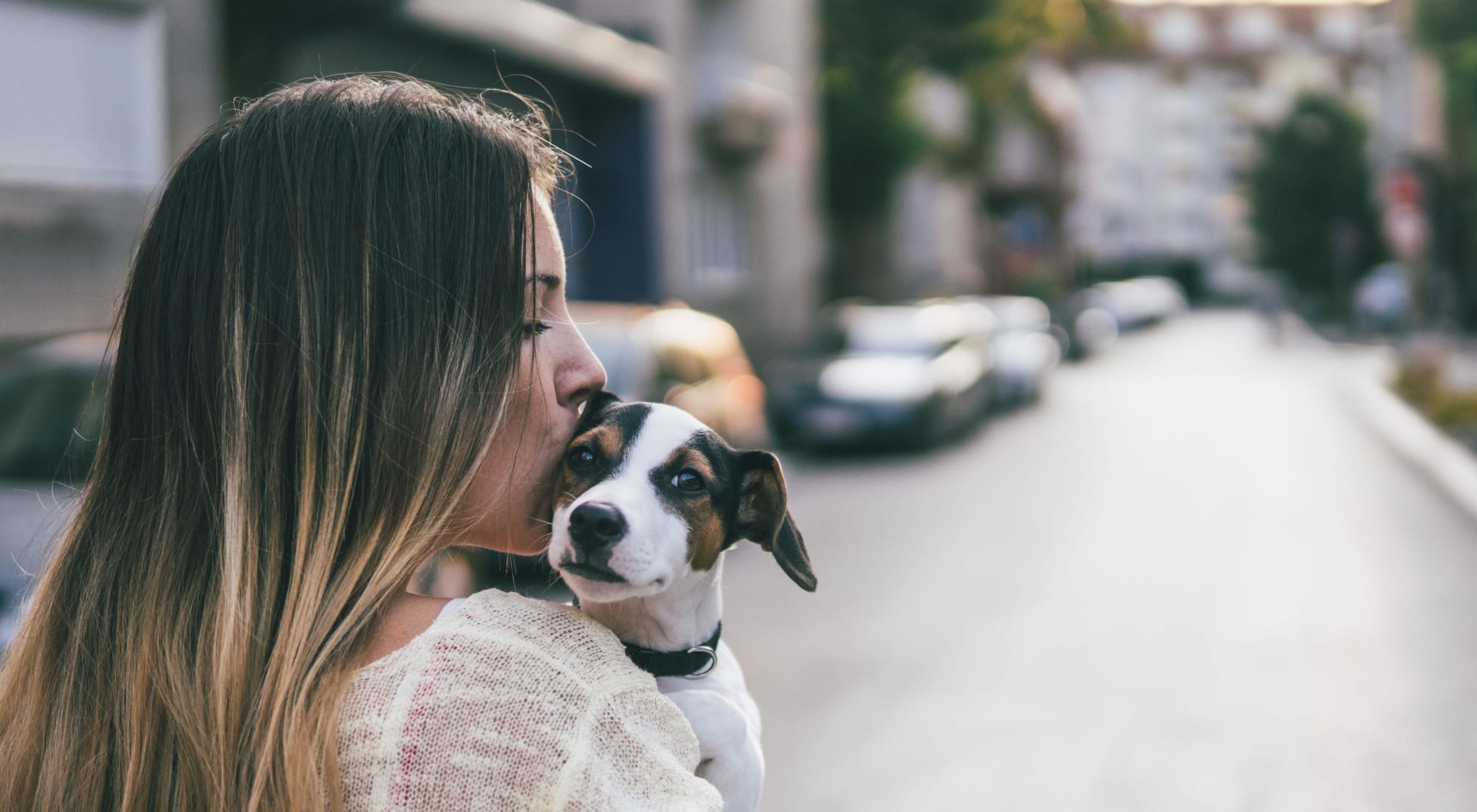 Pet-friendly apartments at Haven Warner Center in Canoga Park, California