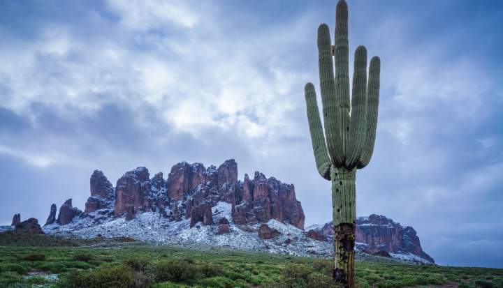 Snowfall at Saguaro National Park in Arizona.