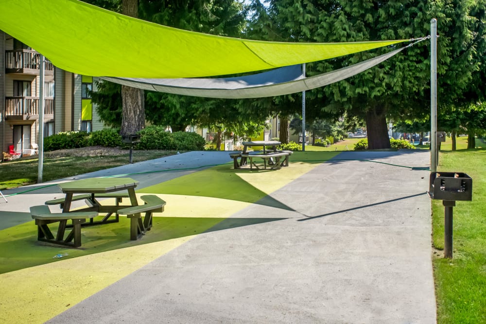 BBQ grills and picnic area underneath canopies at Terra Apartment Homes in Federal Way, Washington