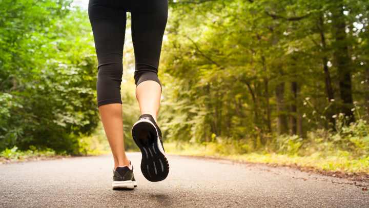 Walking track at {{location_name}} in {{location_city}}, {{location_state_name}}