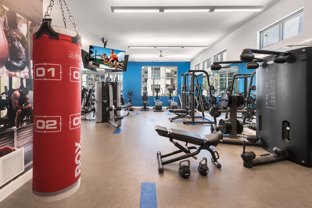 Onsite fitness center at Aviva in Mesa, Arizona