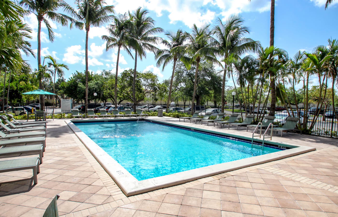 Beautiful sparkling swimming pool at Aliro in North Miami Beach, Florida