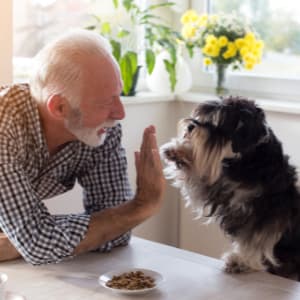 Resident high-fiving his dog at Hanover Place in Tinley Park, Illinois.