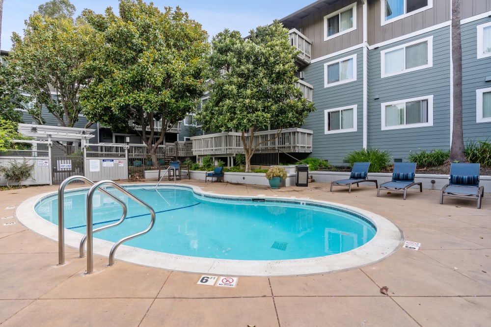 Beautiful swimming pool with tree-provided shade at Regency Plaza Apartment Homes in Martinez, California