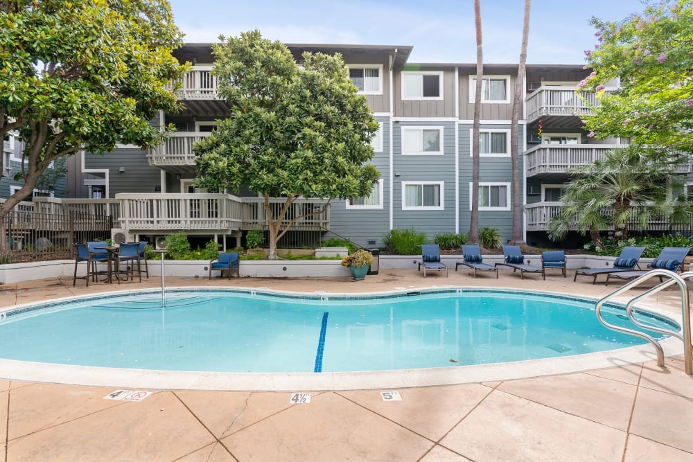 Sundeck with a umbrellas for shade at Regency Plaza Apartment Homes in Martinez, California