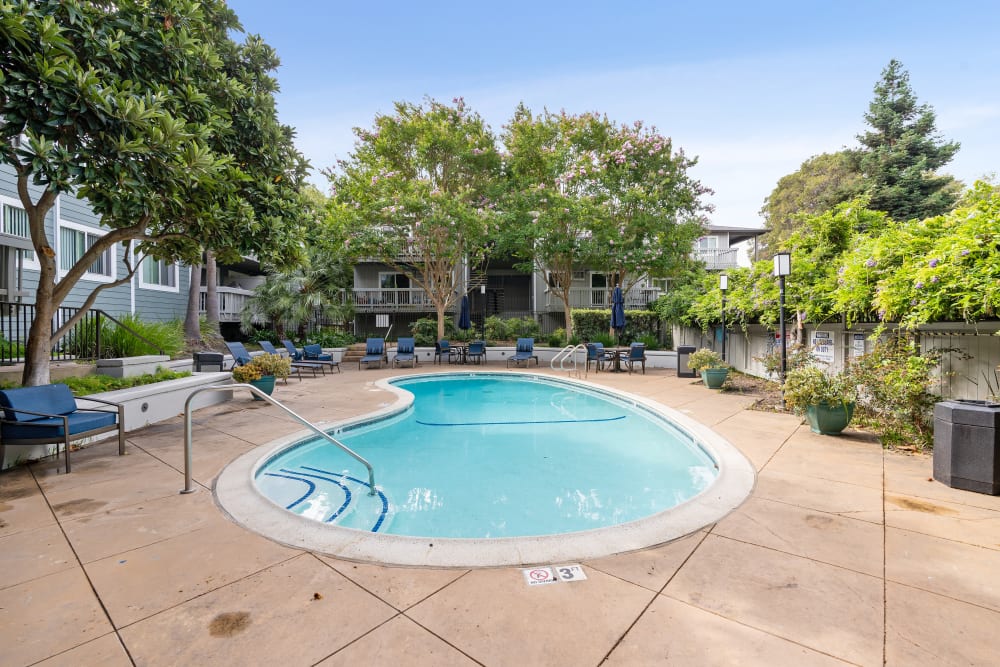 Swimming pool surrounded by lush trees of Regency Plaza Apartment Homes in Martinez, California