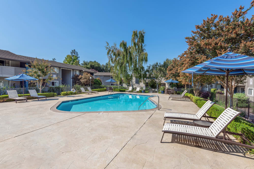 Shadow Oaks Apartment Homes offers a luxury swimming pool in Cupertino, California