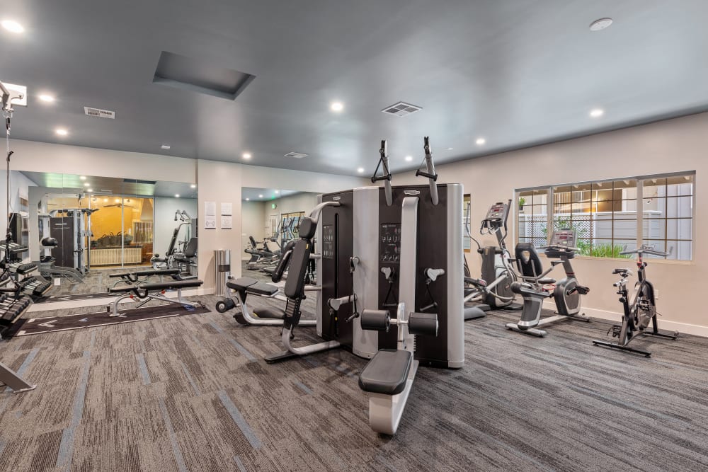 Fitness center at Shadow Oaks Apartment Homes in Cupertino, California