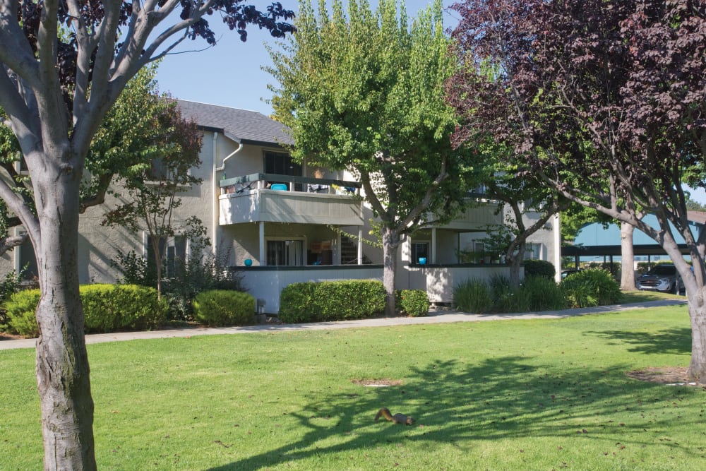 Exterior at Trinity Way in Fremont, California