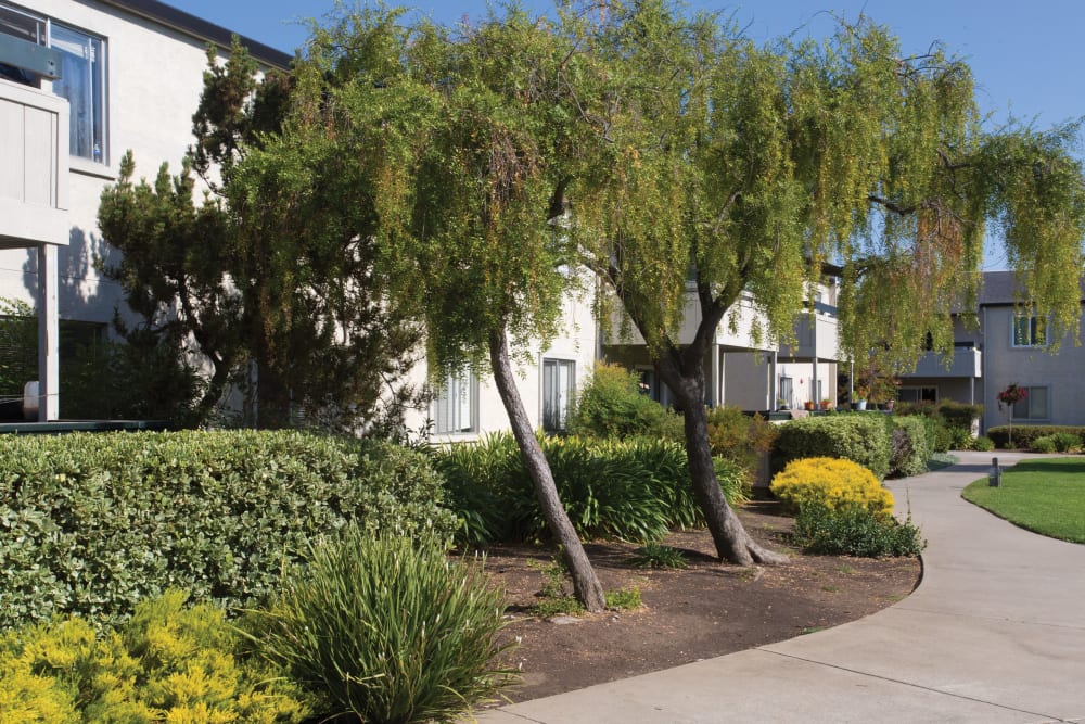 Exterior at Trinity Way in Fremont, California