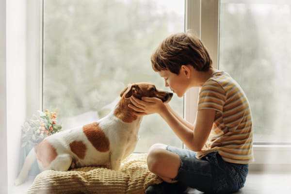 Resident child petting his dog in their new home at Bayfair Apartment Homes in San Lorenzo, California