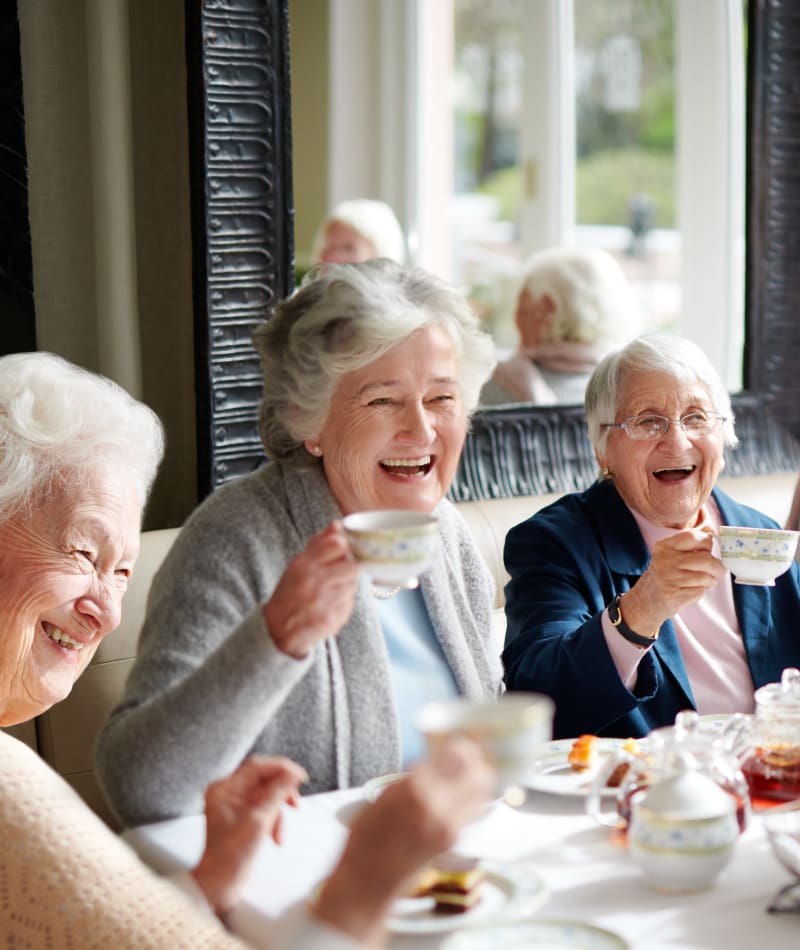 Grand Villa of St. Petersburg Senior Living in FL