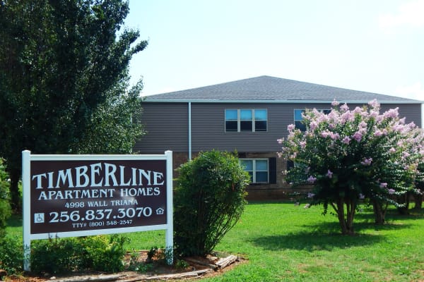 Timberline Apartments in Madison, Alabama