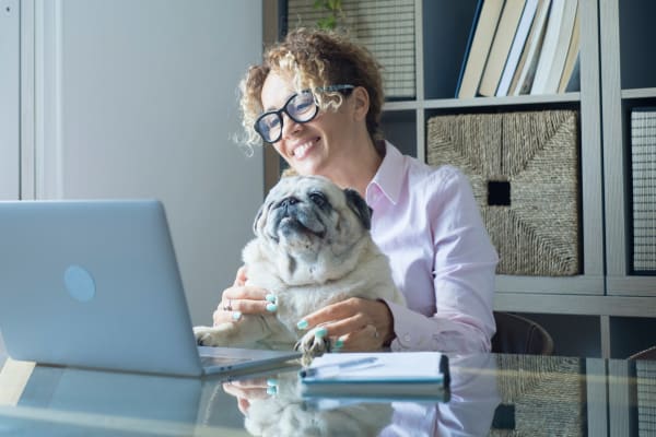 Resident working from home and sitting with their dog at Harbor Oaks Apartments in Sacramento, California