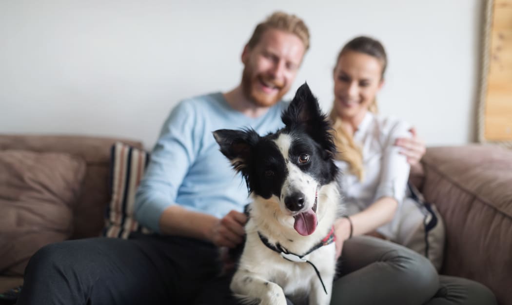 Dog and his family enjoying their new home at Camden Lake Apartments in Baton Rouge, LA