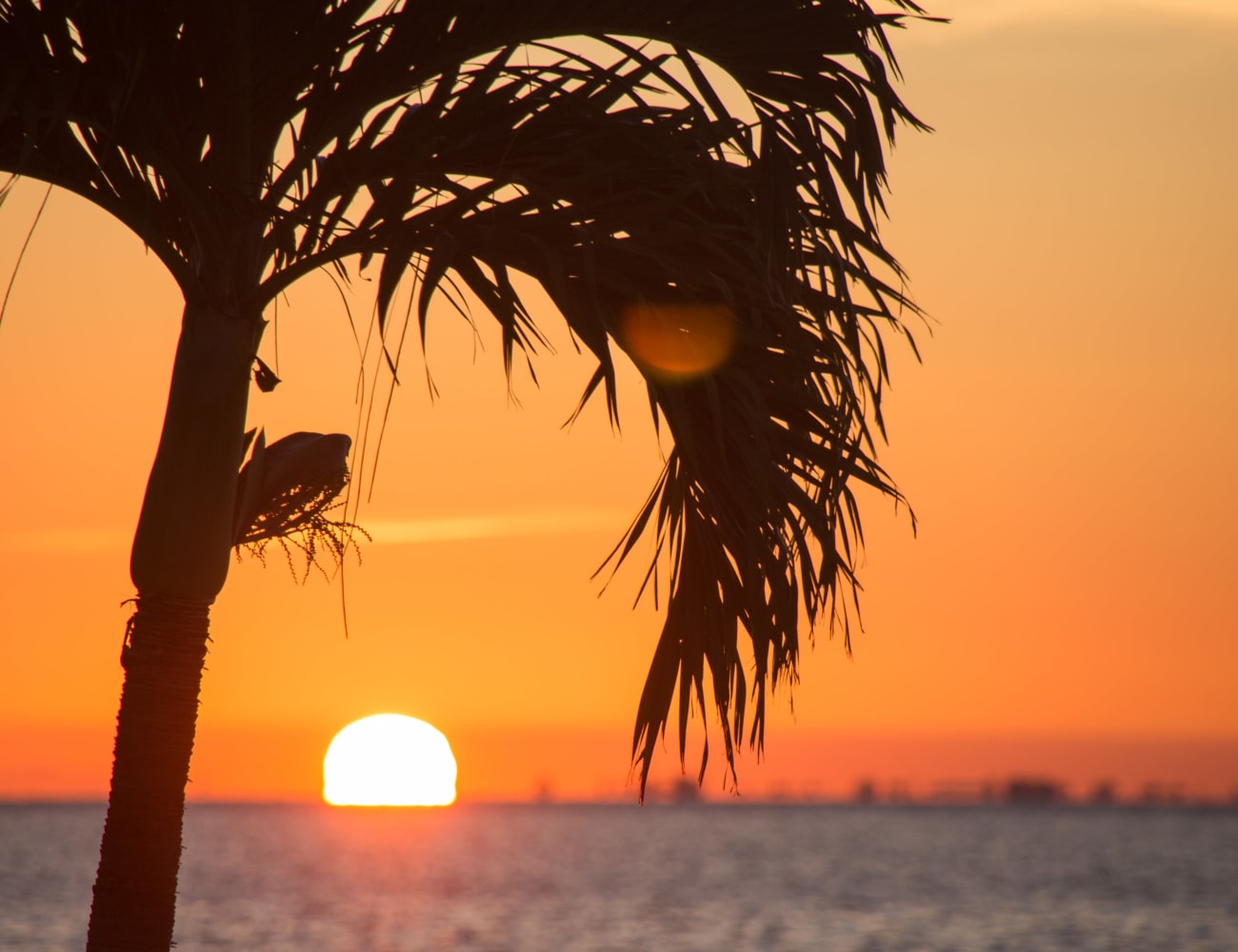 Palm Bay Fl Luxury Apartments For Rent The Braxton