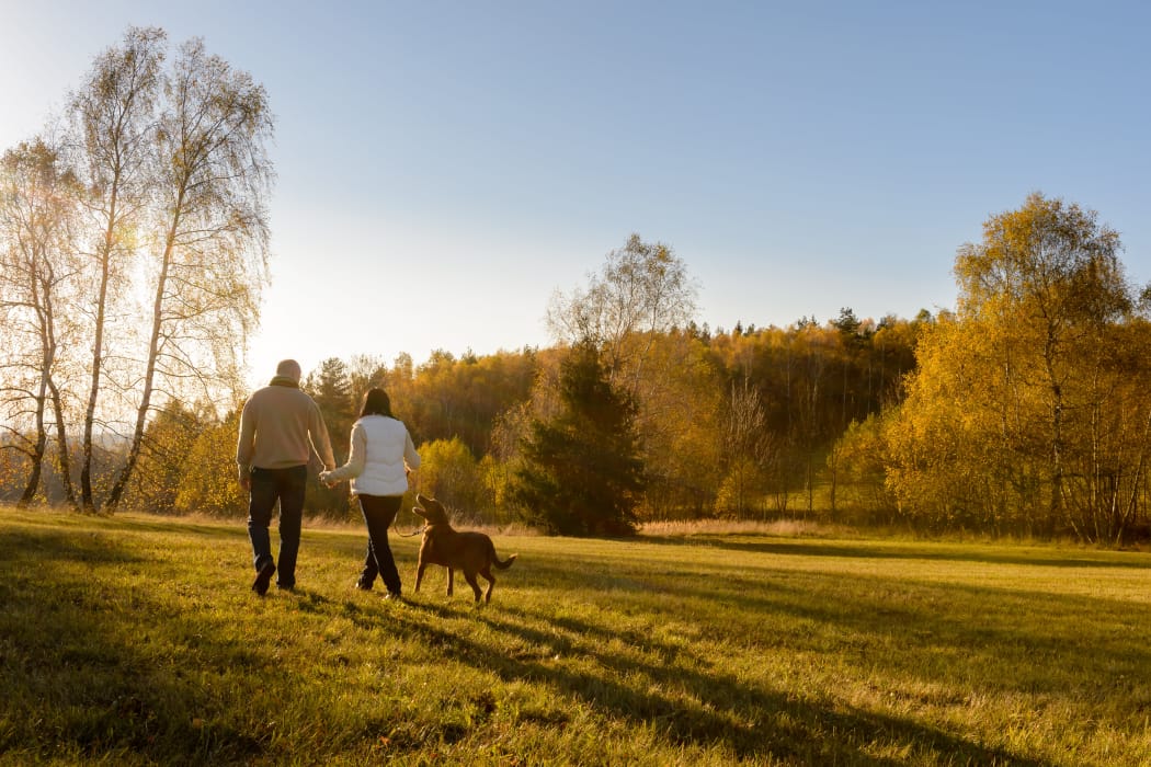 Residents out for a walk with their dog in the Kenwood Club at the Park neighborhood in Katy, TX