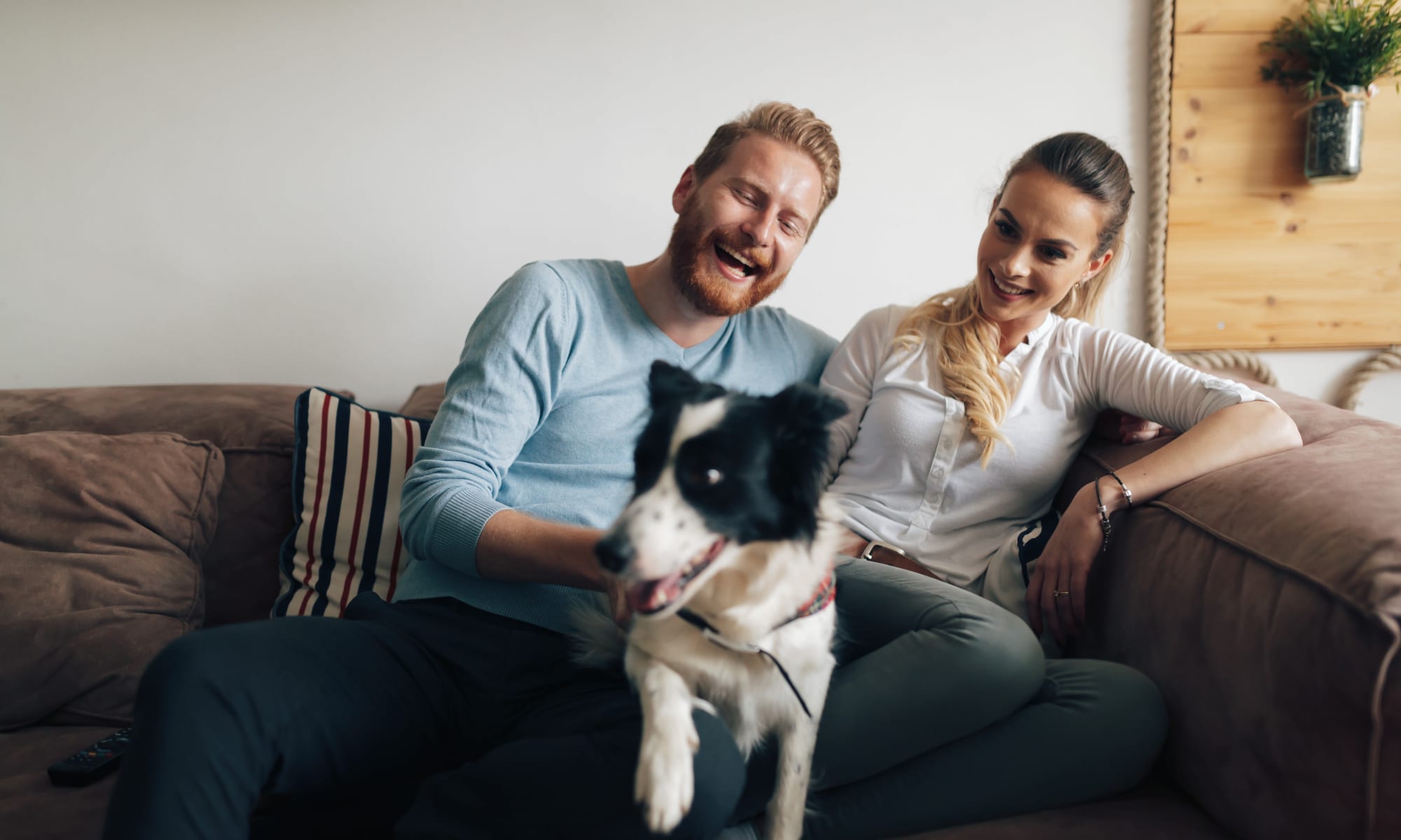 A couple snuggling with their dog in The Alcove apartments