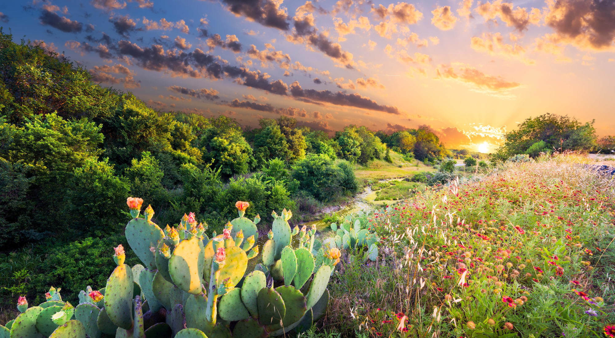 Contact us at Reserve at Pebble Creek in Plano, Texas