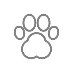 View our pet friendly page at Bear Valley Park in Denver, Colorado