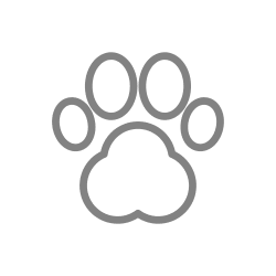 View our pet friendly page at The Artisan in San Diego, California