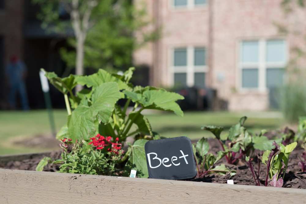 Residents celebrating their anniversary at Watercrest at Katy in Katy, Texas