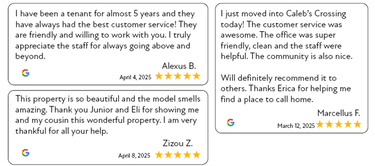 five star reviews from google