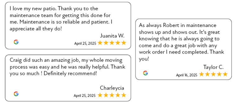 three examples of five star google reviews