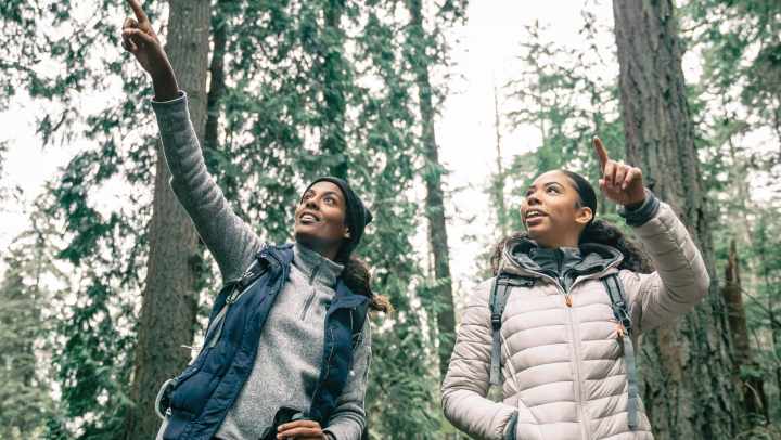 two individuals standing outdoors in a forested area surrounded by tall trees
