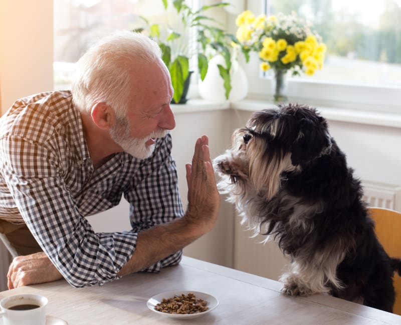 Resident and his dog enjoying their new home at Mesa Del Oso in Albuquerque, New Mexico