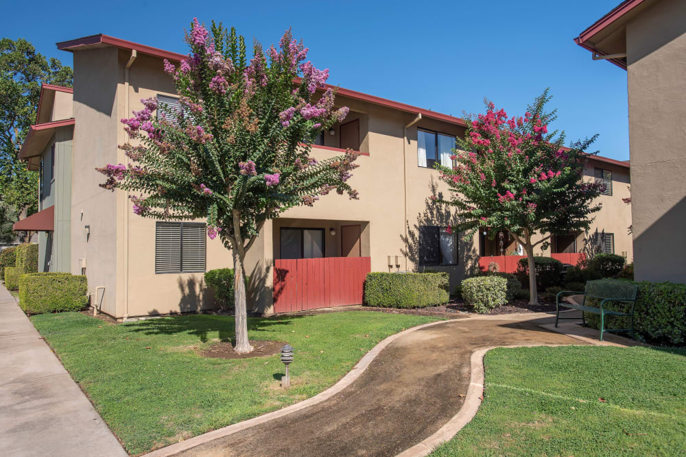 Pathway with landscaping at Lodi Commons Senior Living in Lodi, California