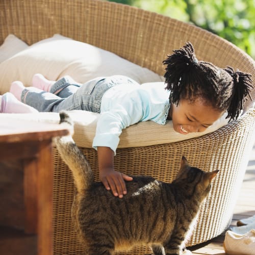 A girl playing with her cat at Hamilton Redoubt in Newport News, Virginia