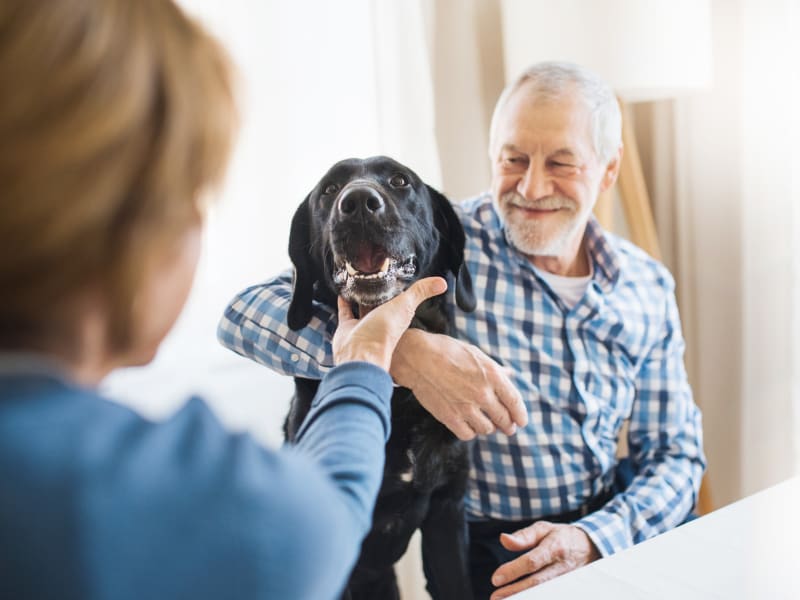 Resident with his dog at Wellington Place at Hartford in Hartford, Wisconsin