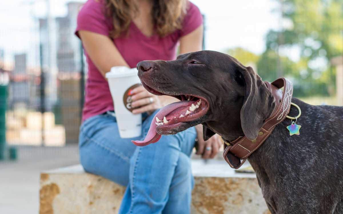 Resident with her dog at Carrara At Cole in Dallas, Texas