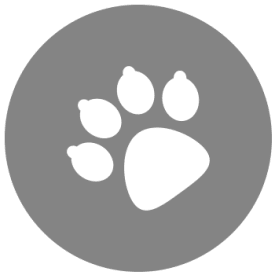 View the pet policy at 400 Atlantic in Bridgeport, Connecticut