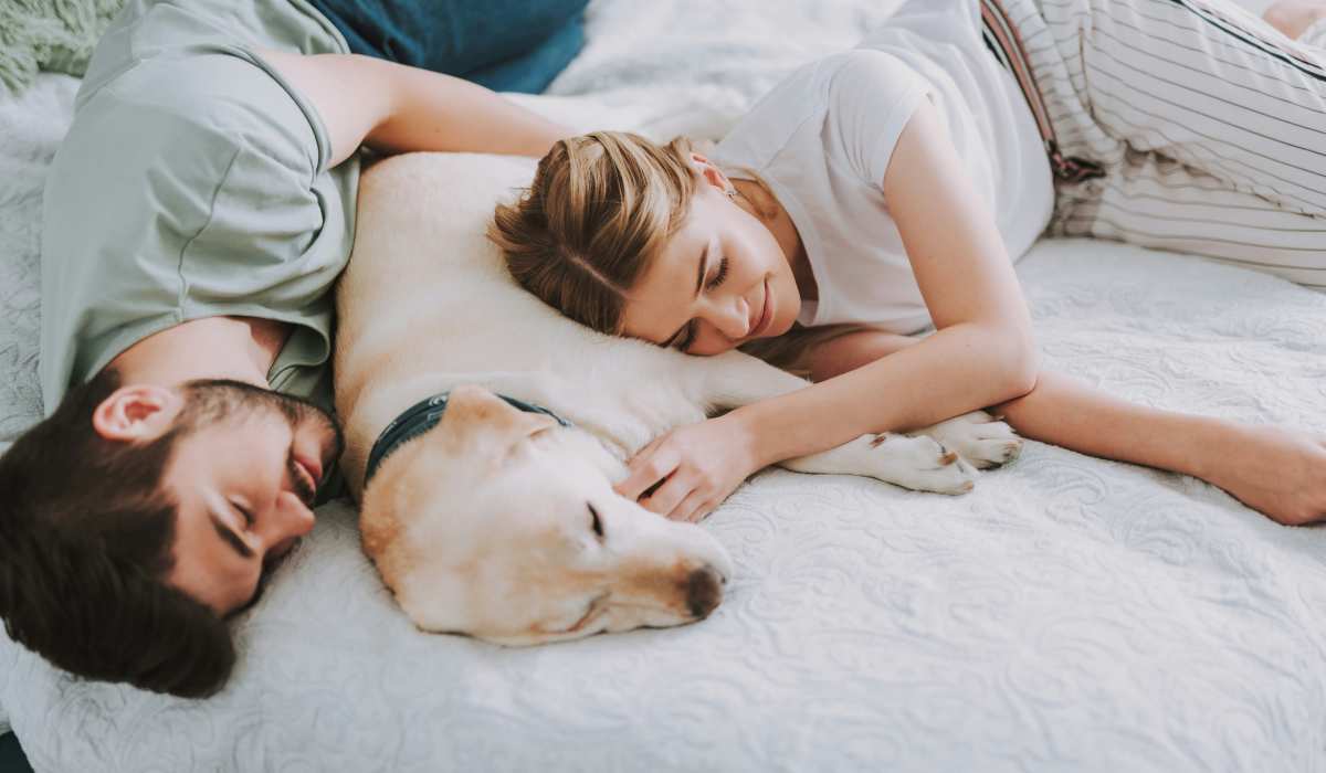 Resident playing with her dog in her spacious apartment at The Residences at Sakura Novi in Novi, Michigan