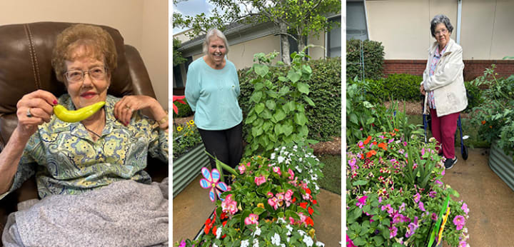 Three images of women residents at Wesley Gardens enjoying their VEGO garden beds and produce