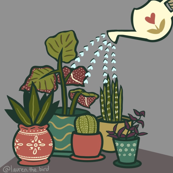 a larger image of cartoon indoor plants being watered by a watering can