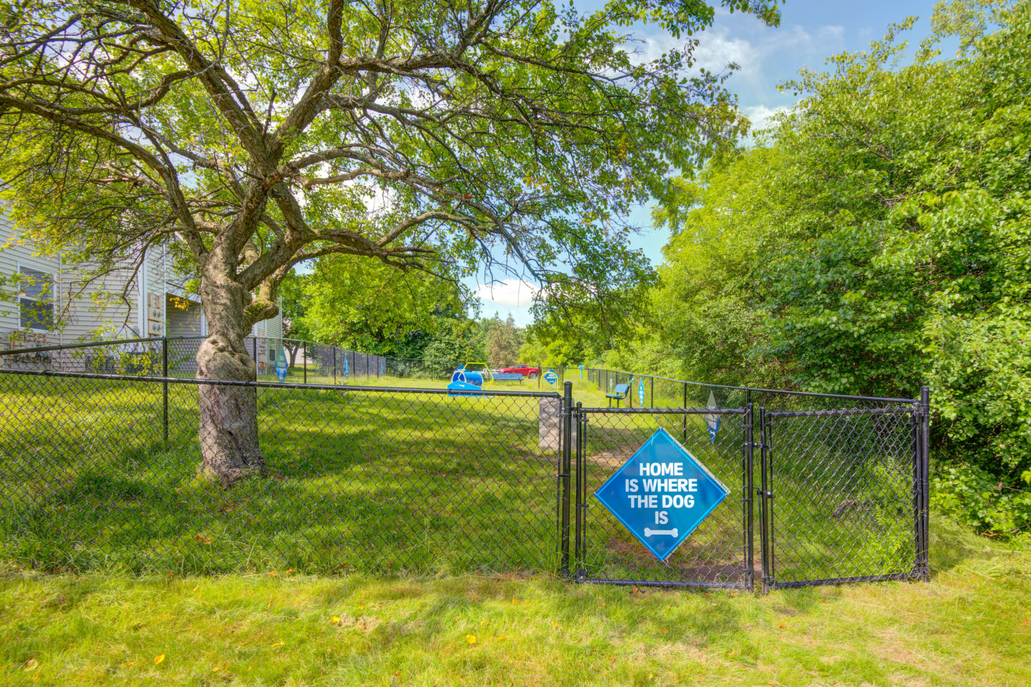 Fenced dog park with agility equipment at Riverton Knolls in West Henrietta, New York