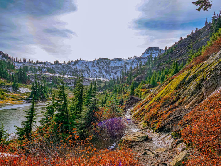 mountain side wildflowers with a trail and river