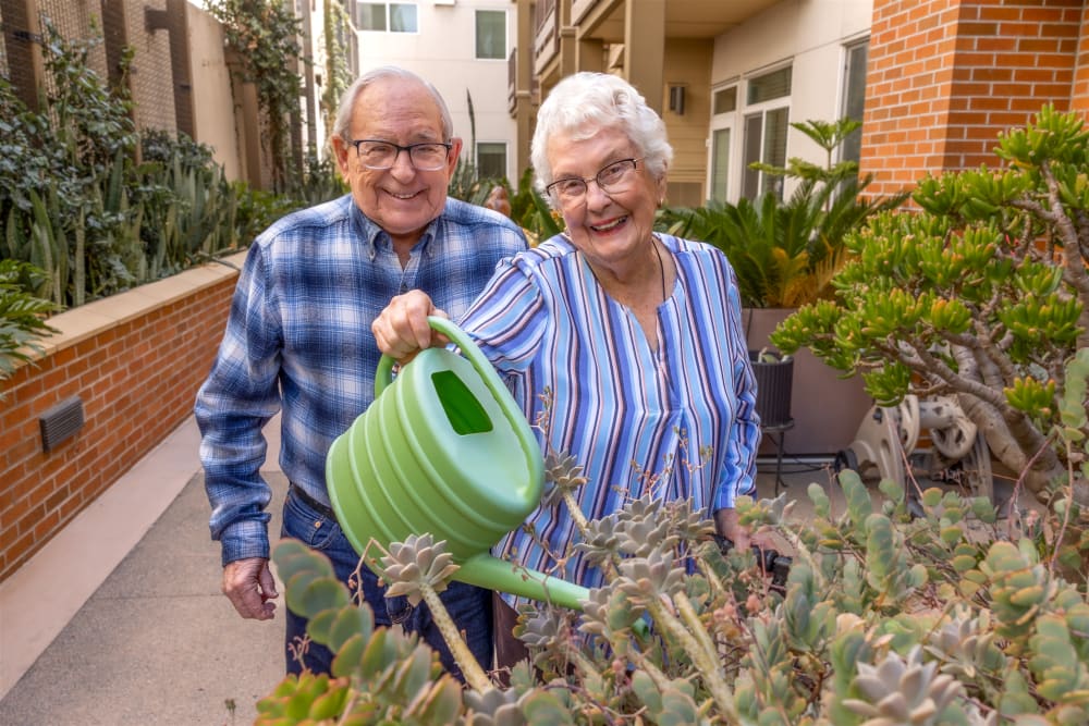 Resident couple watering succulents outside.