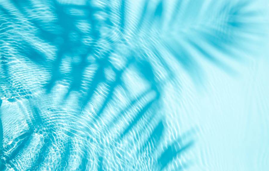 Palm graphic for Cottage Street at eTown in Jacksonville, Florida