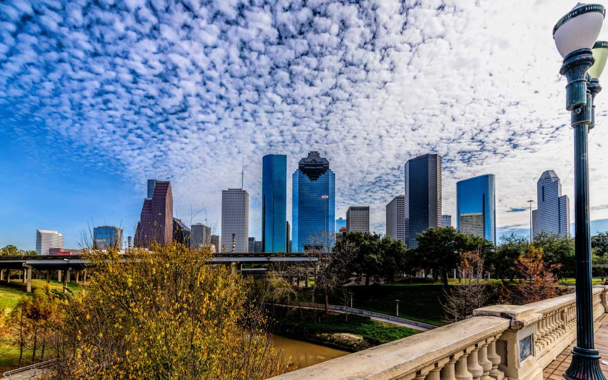 Greenery at The Brighton in Houston, Texas 