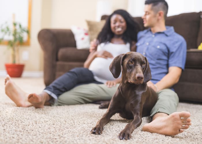 Resident enjoying her new home with dog at Capitola Townhomes in Santa Cruz, California