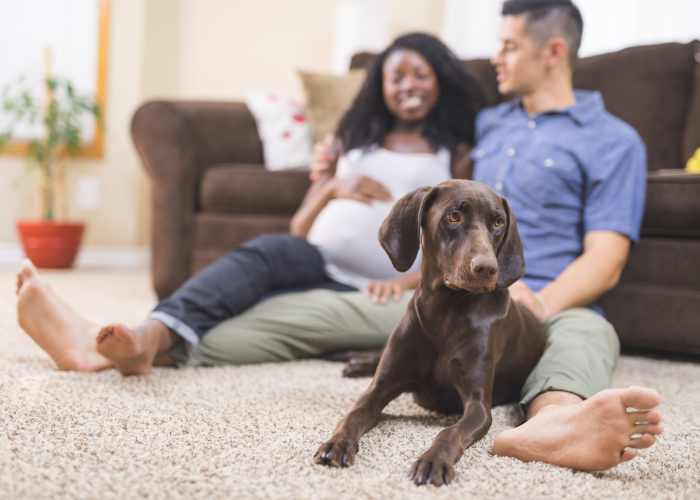 Resident enjoying her new home with dog at Wilder in Soquel, California