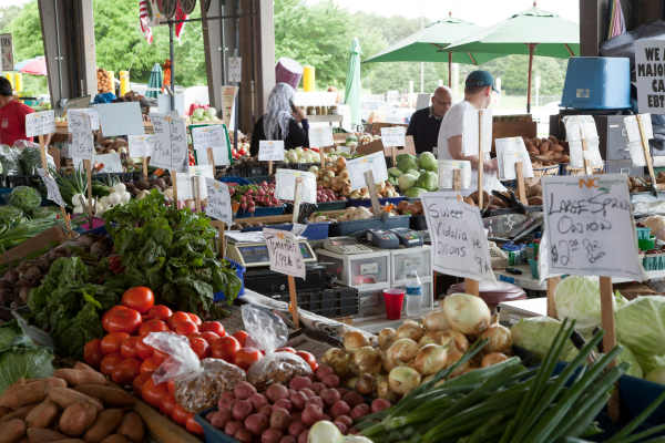 Groceries near Forester in Charlotte. NC
